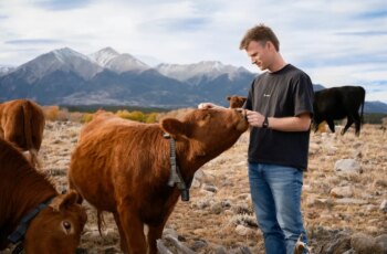 Peter Thiel’s big bet on solar-powered cow collars
